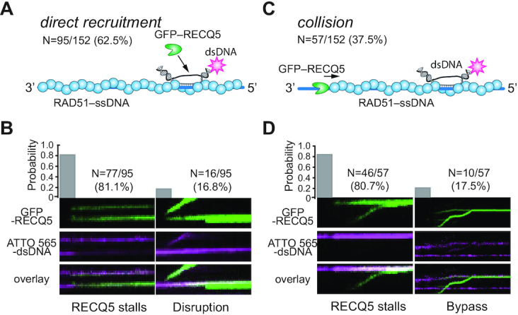 Figure 10.