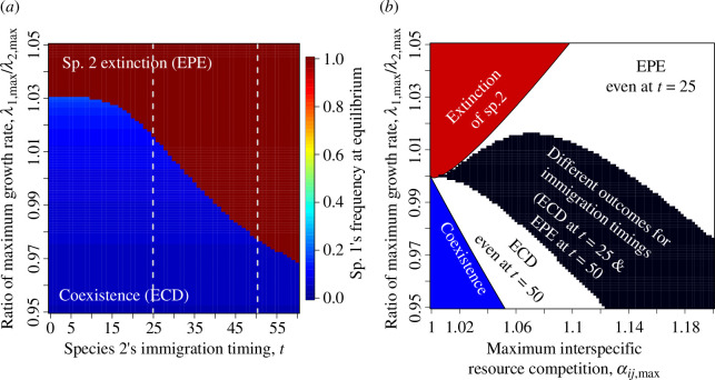 Effects of immigration timing on coexistence.