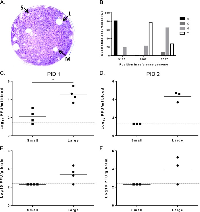 FIG 3