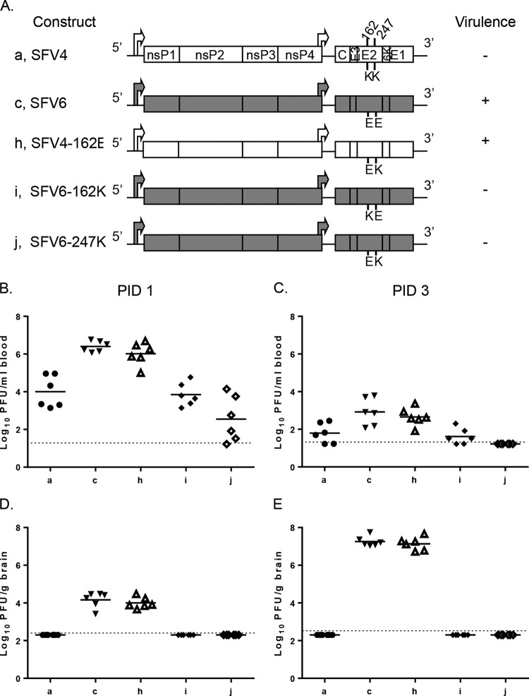 FIG 4