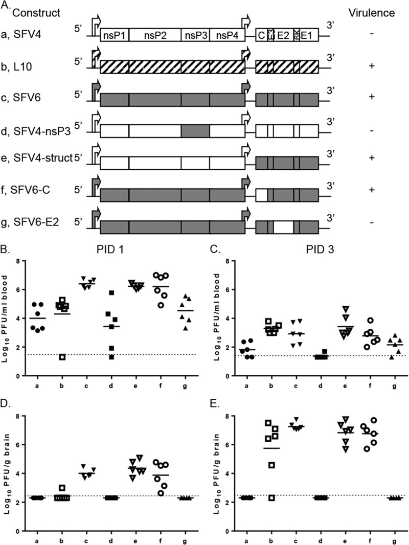 FIG 1