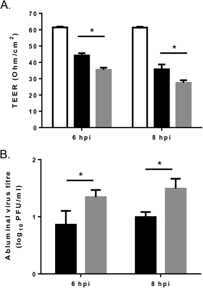 FIG 6