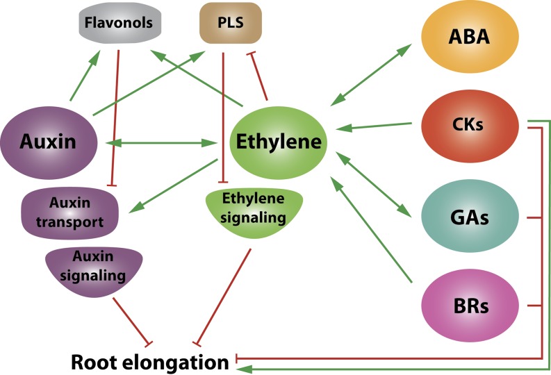 Figure 3.