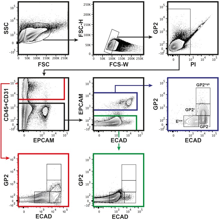 Figure 2—figure supplement 1.