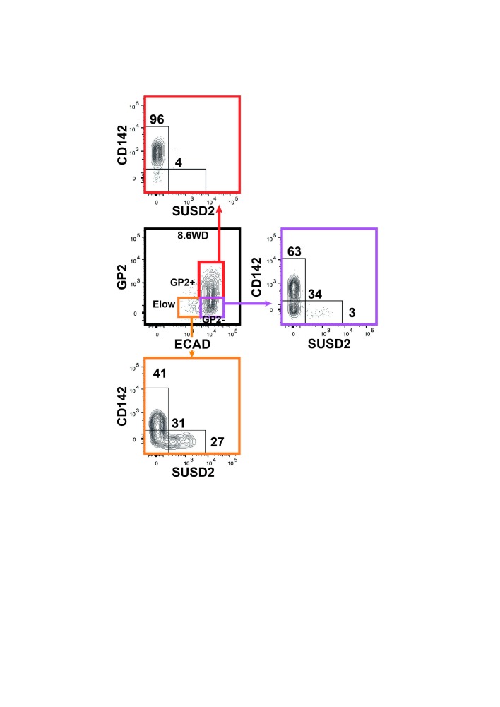 Figure 5—figure supplement 1.