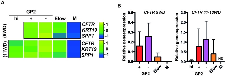 Figure 4—figure supplement 1.