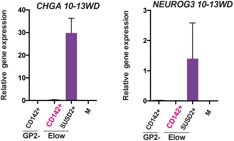 Figure 6—figure supplement 1.