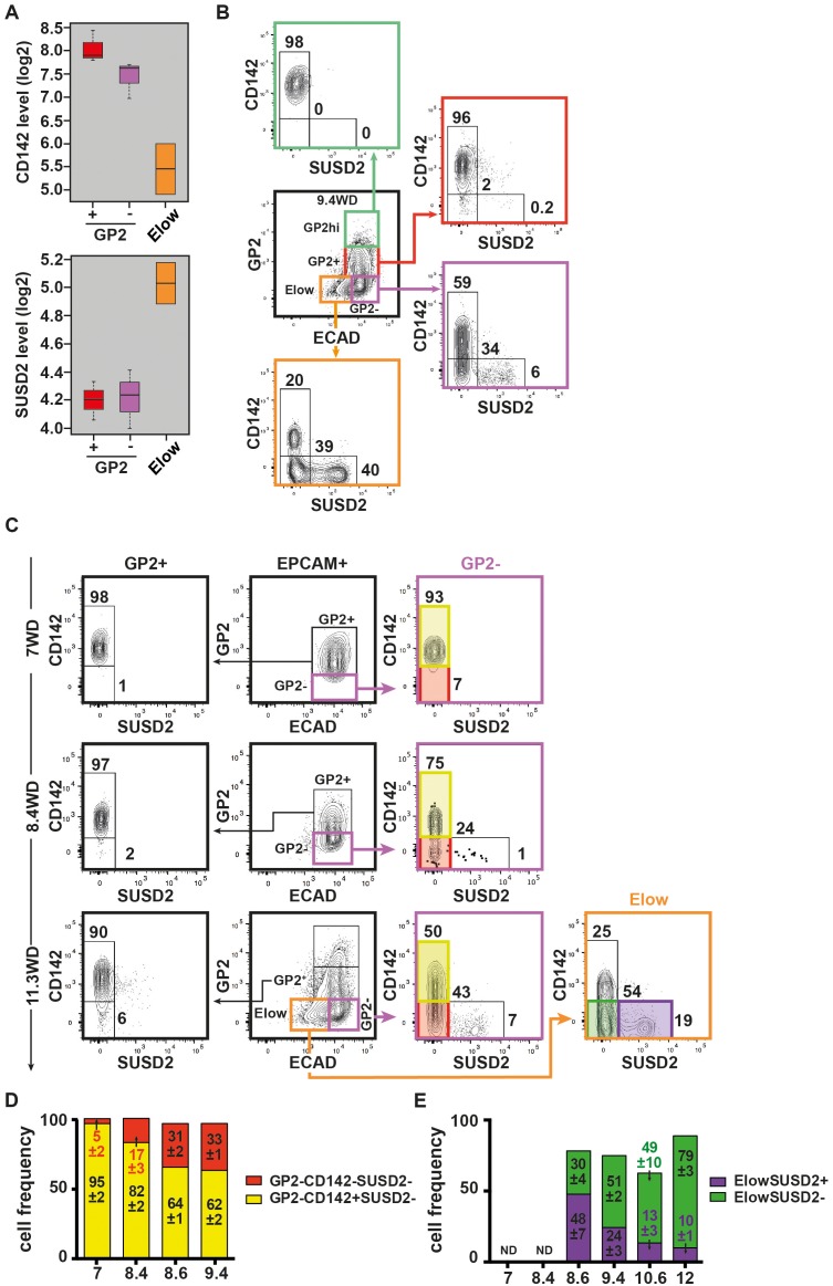 Figure 5.