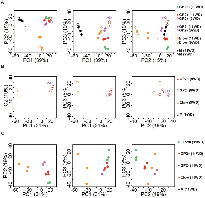 Figure 3—figure supplement 1.