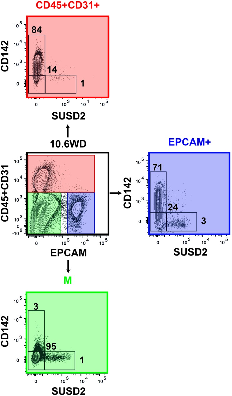 Figure 7—figure supplement 1.