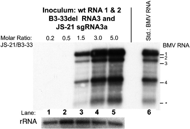 Fig. 8