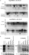 Fig. 6