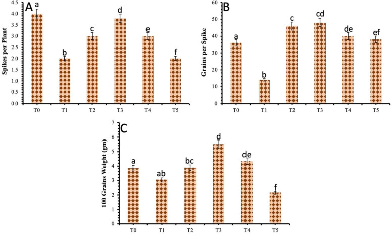 Fig 5