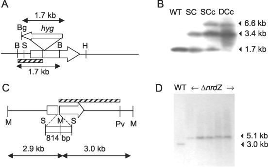 FIG. 2.