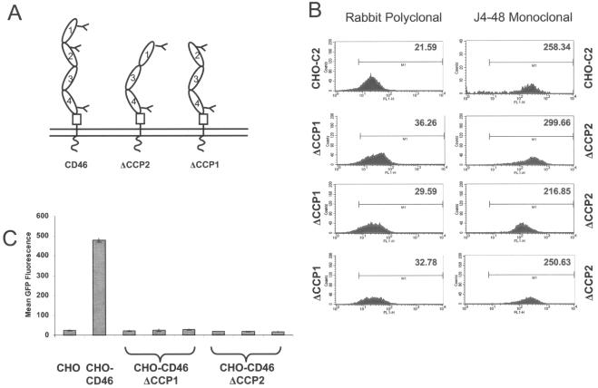 FIG. 4.