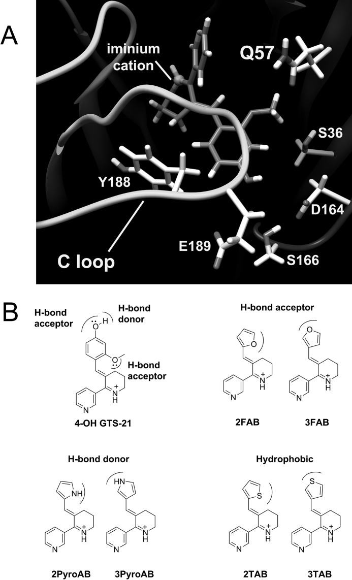 FIGURE 1.