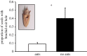 Figure 3.