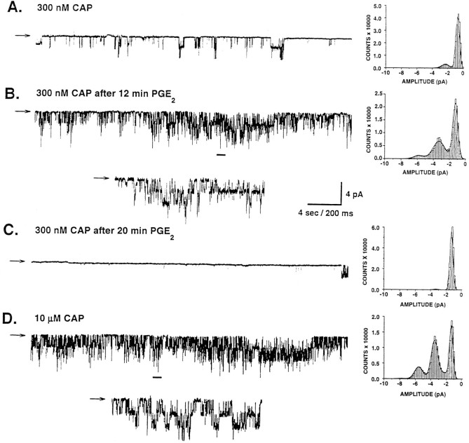 Fig. 8.