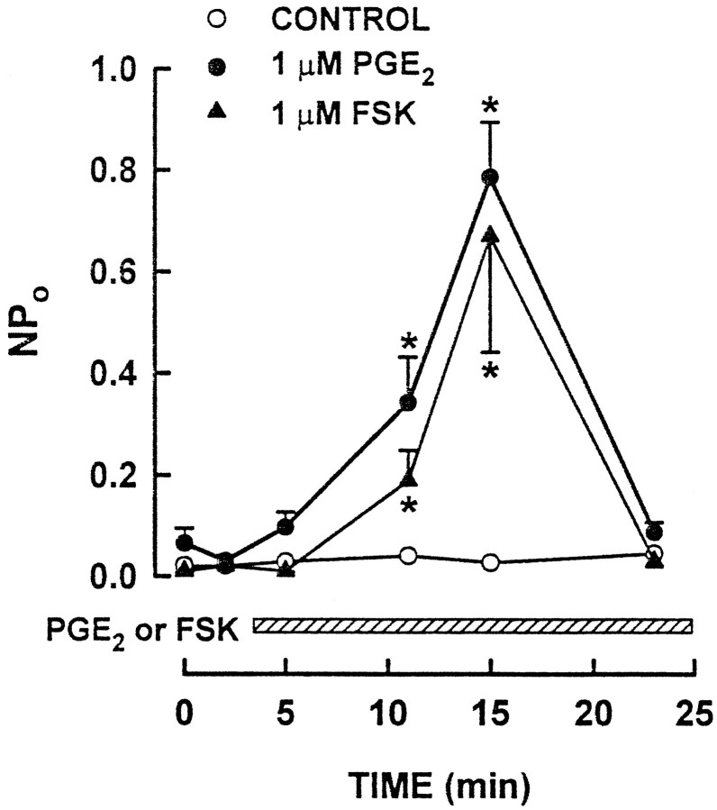 Fig. 9.