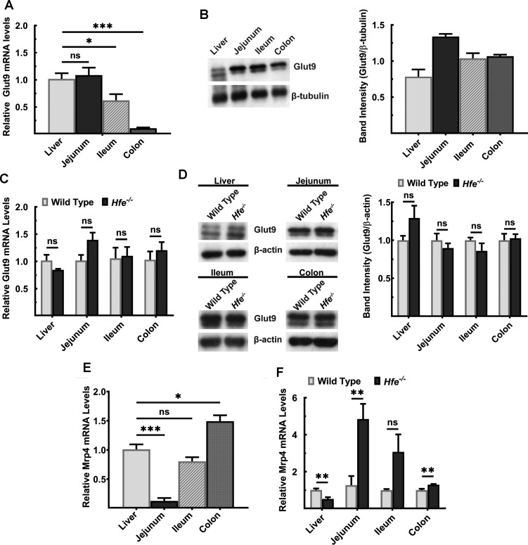 Figure 3.