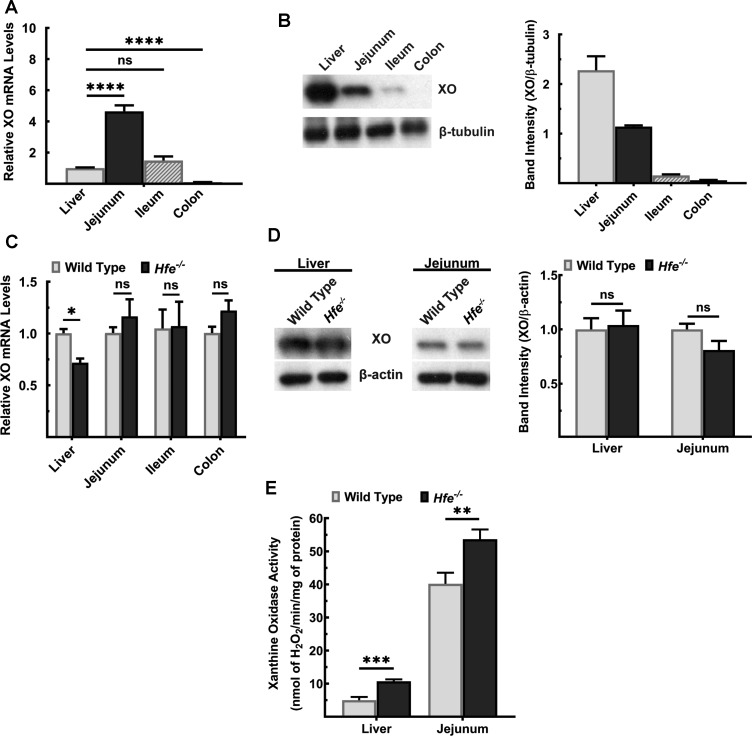 Figure 2.