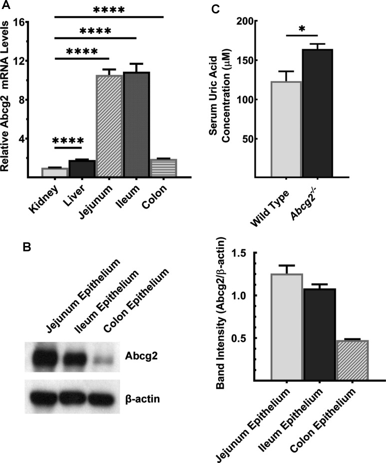 Figure 4.