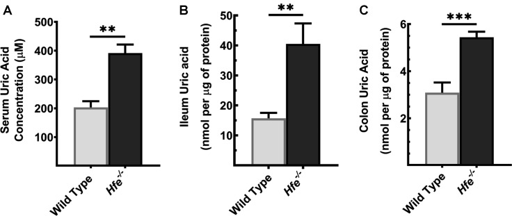 Figure 1.