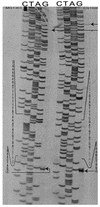 FIG. 6.