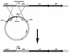 FIG. 5.