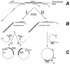 FIG. 1.