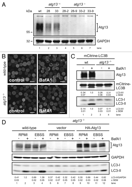 Figure 1.