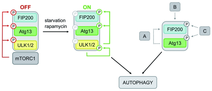 Figure 6.