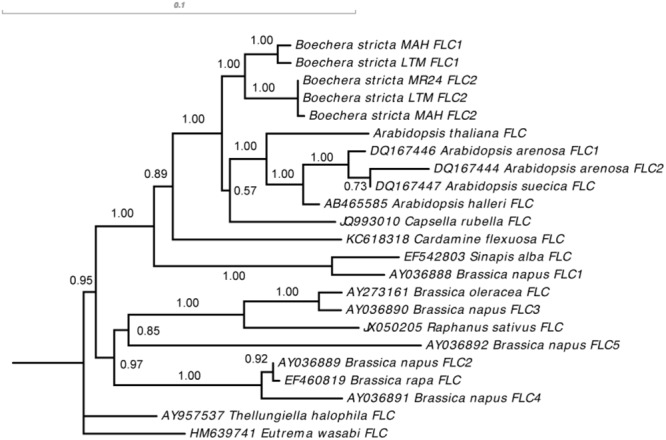 FIGURE 5