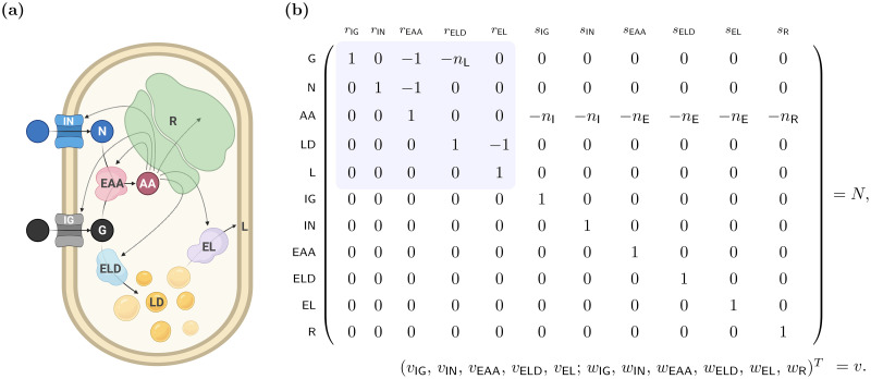 Fig 1