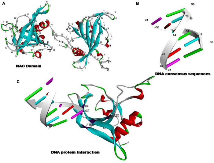 FIGURE 3