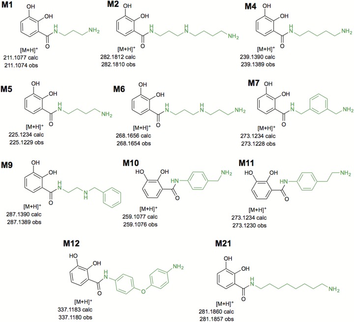 FIG 3 