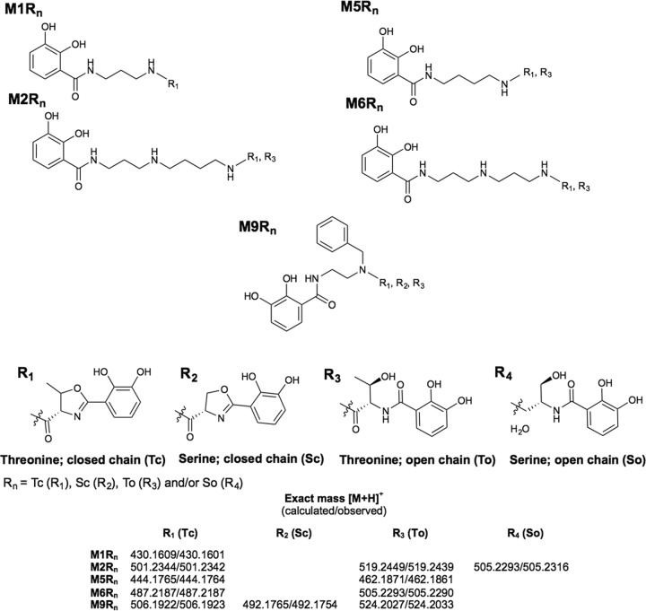 FIG 4 