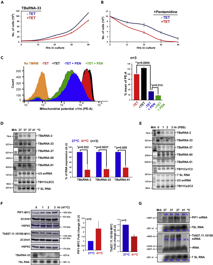 Figure 6