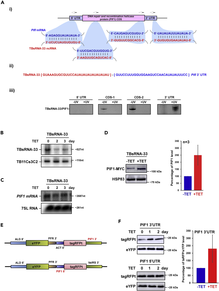 Figure 5