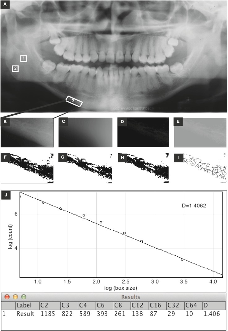Figure 2.
