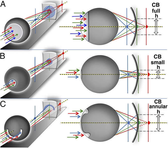 Fig. 2.