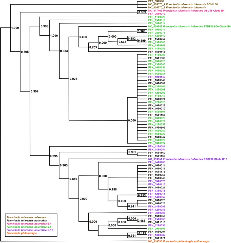 FIGURE 2