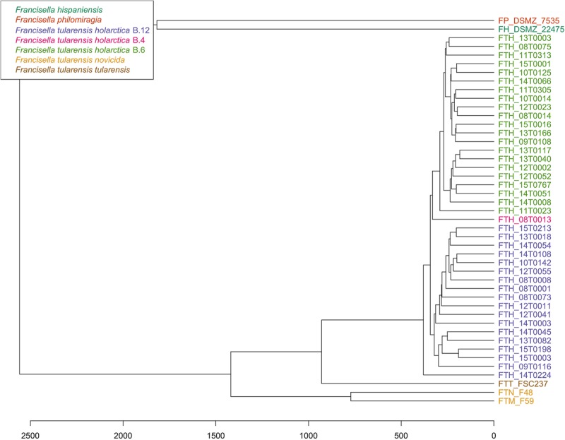 FIGURE 3