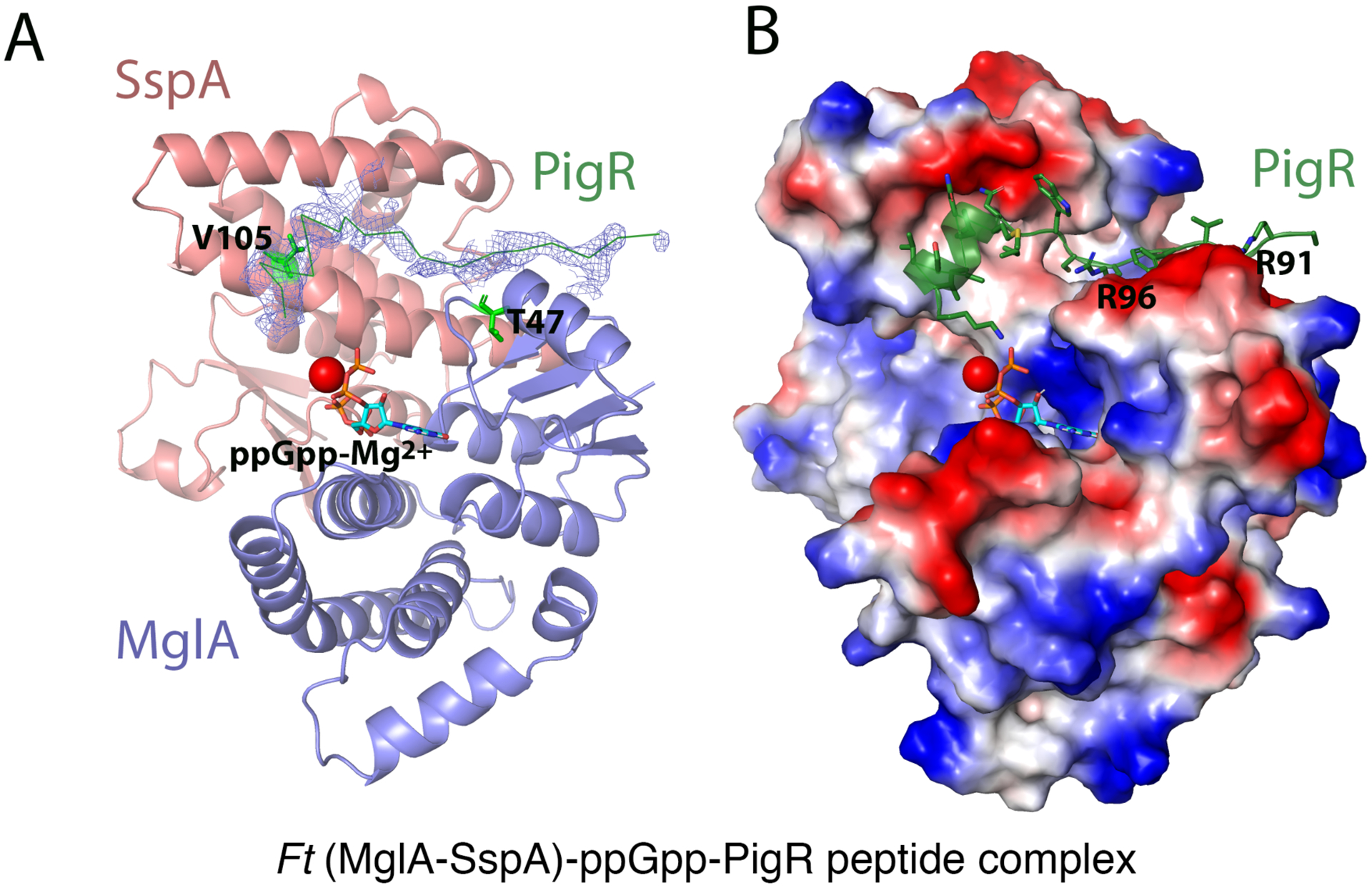 Figure 3.