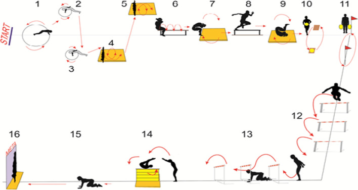 Fig. 1