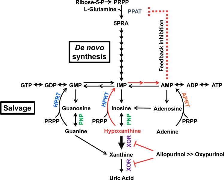 Figure 6