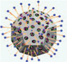 graphic file with name FBIOE_fbioe-2025-1601476_wc_tfx7.jpg