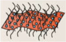 graphic file with name FBIOE_fbioe-2025-1601476_wc_tfx15.jpg