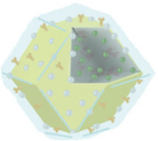 graphic file with name FBIOE_fbioe-2025-1601476_wc_tfx9.jpg