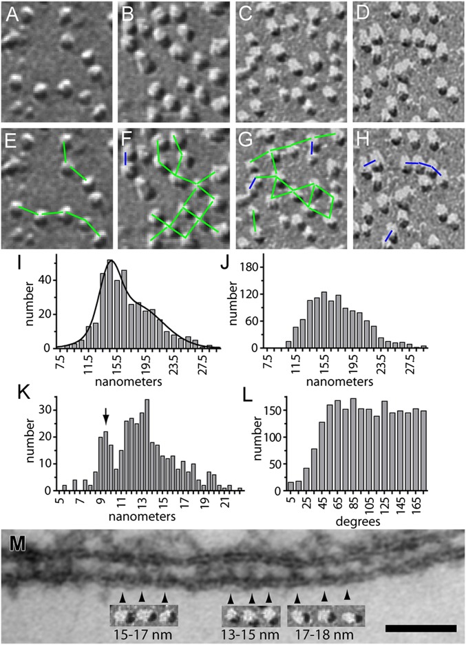 Fig. 10.